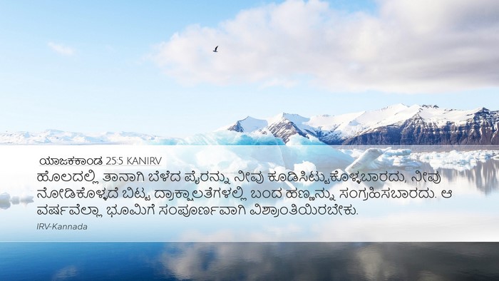 ಯಾಜಕಕಾಂಡ 25:5 KANIRV Desktop Wallpaper - ಹೊಲದಲ್ಲಿ ತಾನಾಗಿ - Desktop Bible Verse Wallpaper