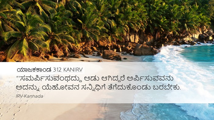 ಯಾಜಕಕಾಂಡ 3:12 KANIRV Desktop Wallpaper -  - Desktop Bible Verse Wallpaper
