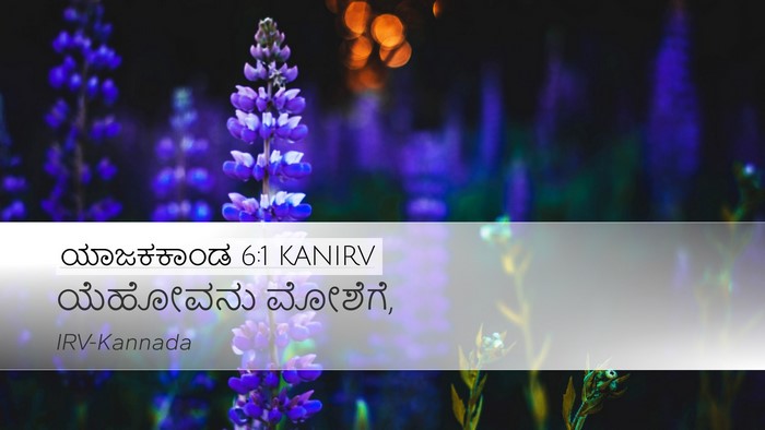 ಯಾಜಕಕಾಂಡ 6:1 KANIRV Desktop Wallpaper - ಯೆಹೋವನು - Desktop Bible Verse Wallpaper