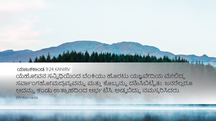 ಯಾಜಕಕಾಂಡ 9:24 KANIRV Bible Verse Image