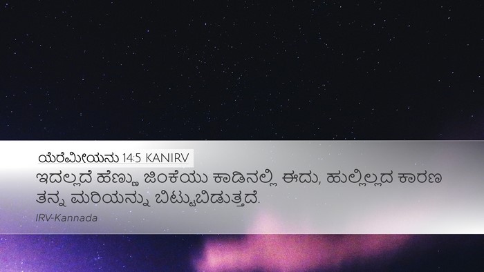 ಯೆರೆಮೀಯನು 14:5 KANIRV Bible Verse Image