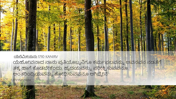 ಯೆರೆಮೀಯನು 17:10 KANIRV Bible Verse Image