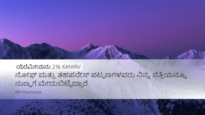 ಯೆರೆಮೀಯನು 2:16 KANIRV Desktop Wallpaper - ನೋಫ್ ಮತ್ತು - Desktop Bible Verse Wallpaper