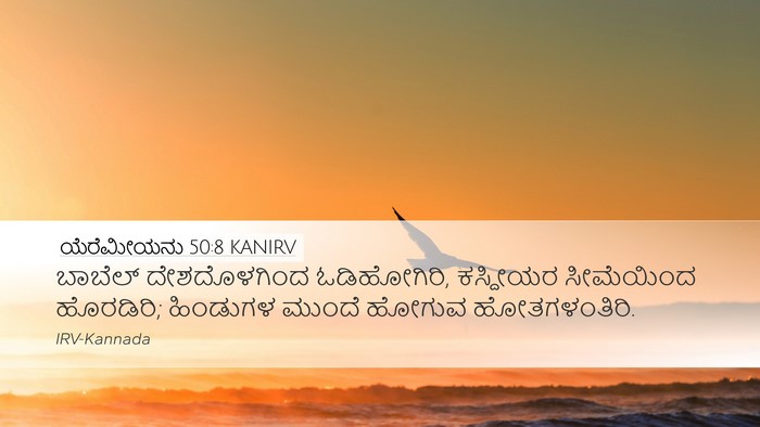 ಯೆರೆಮೀಯನು 50:8 KANIRV Bible Verse Image