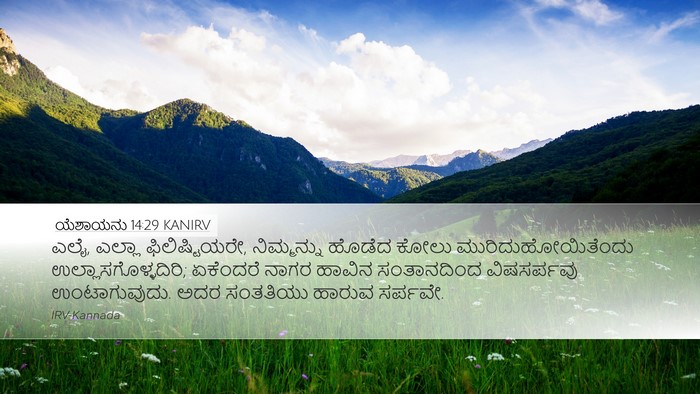 ಯೆಶಾಯನು 14:29 KANIRV Bible Verse Image