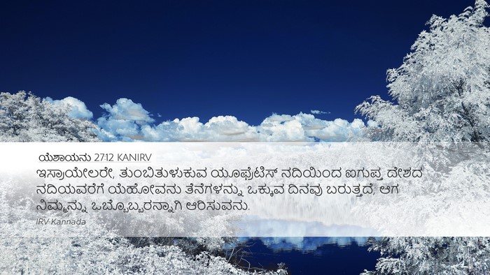 ಯೆಶಾಯನು 27:12 KANIRV Bible Verse Image