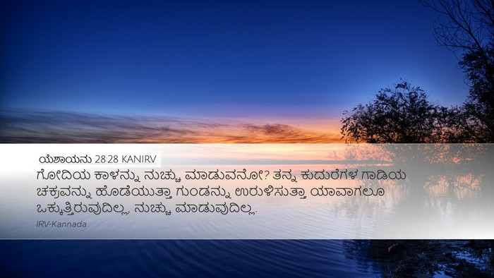 ಯೆಶಾಯನು 28:28 KANIRV Desktop Wallpaper - ಗೋದಿಯ ಕಾಳನ್ನು - Desktop Bible Verse Wallpaper