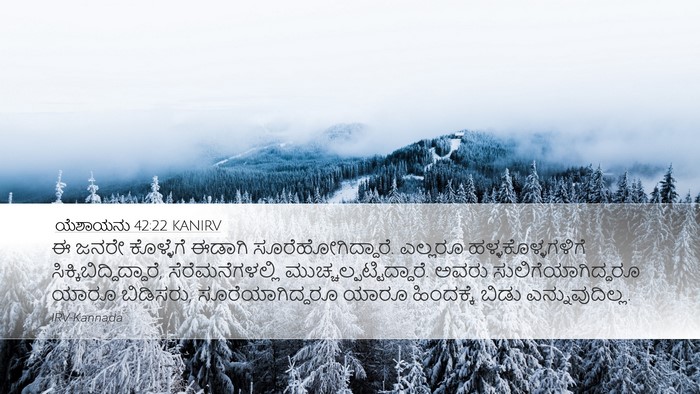 ಯೆಶಾಯನು 42:22 KANIRV Bible Verse Image