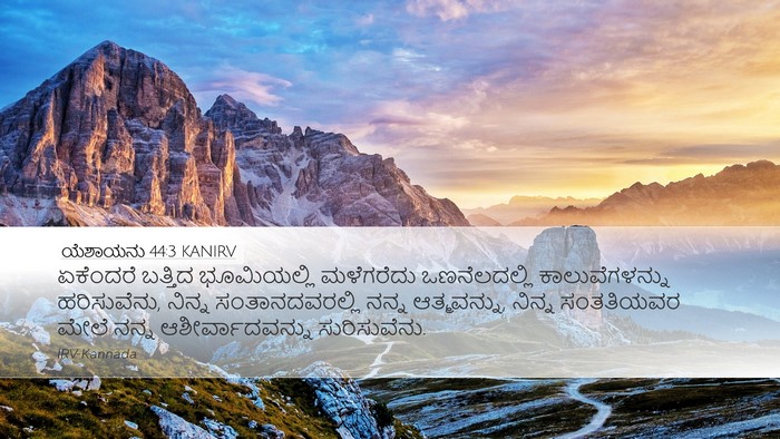 ಯೆಶಾಯನು 44:3 KANIRV Bible Verse Image