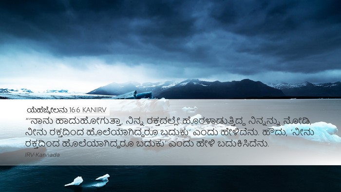 ಯೆಹೆಜ್ಕೇಲನು 16:6 KANIRV Bible Verse Image
