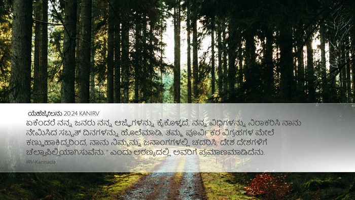 ಯೆಹೆಜ್ಕೇಲನು 20:24 KANIRV Bible Verse Image