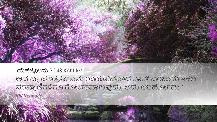 ಯೆಹೆಜ್ಕೇಲನು 20:48 KANIRV Bible Verse Image