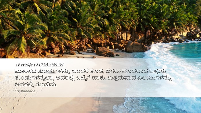ಯೆಹೆಜ್ಕೇಲನು 24:4 KANIRV Bible Verse Image