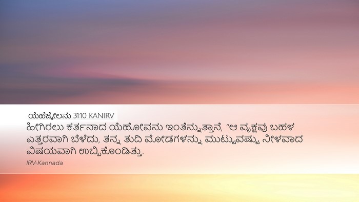 ಯೆಹೆಜ್ಕೇಲನು 31:10 KANIRV Bible Verse Image