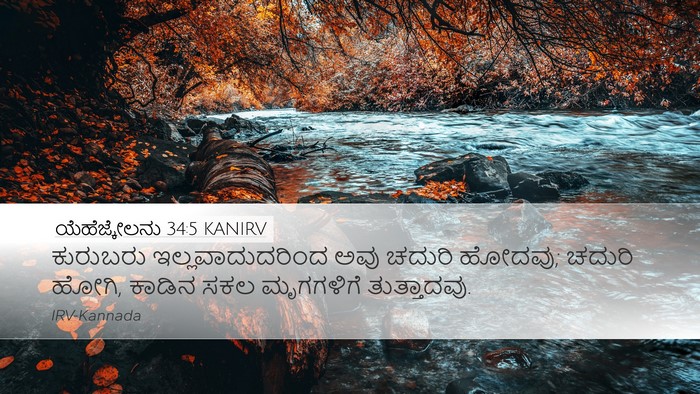 ಯೆಹೆಜ್ಕೇಲನು 34:5 KANIRV Bible Verse Image