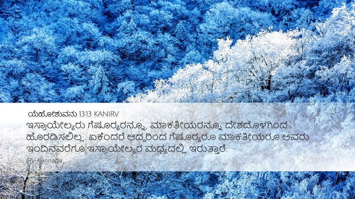 ಯೆಹೋಶುವನು 13:13 KANIRV Bible Verse Image