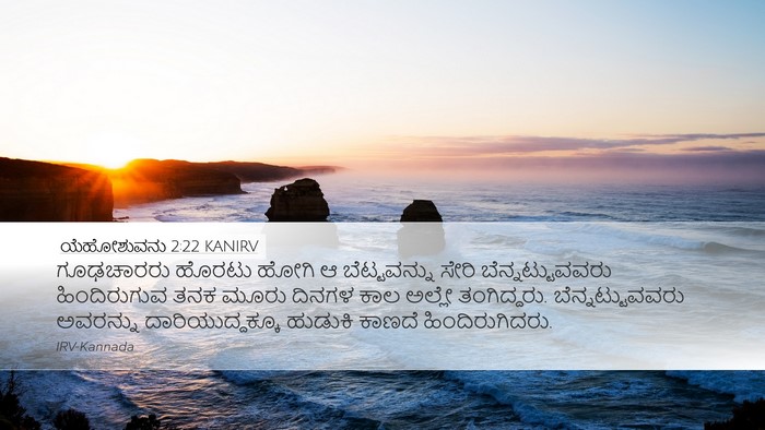 ಯೆಹೋಶುವನು 2:22 KANIRV Desktop Wallpaper - ಗೂಢಚಾರರು ಹೊರಟು - Desktop Bible Verse Wallpaper