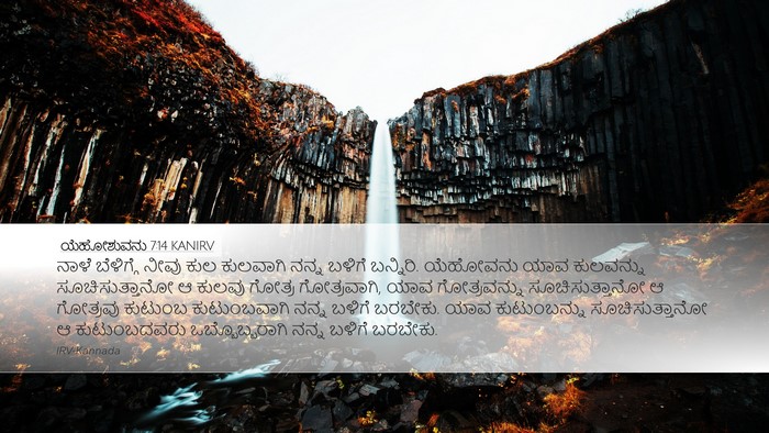 ಯೆಹೋಶುವನು 7:14 KANIRV Desktop Wallpaper - ನಾಳೆ ಬೆಳಿಗ್ಗೆ - Desktop Bible Verse Wallpaper