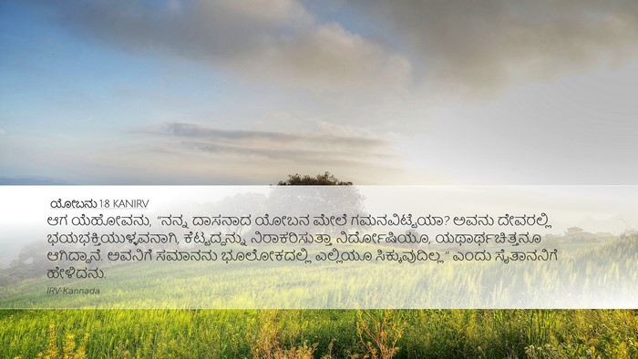 ಯೋಬನು 1:8 KANIRV Bible Verse Image
