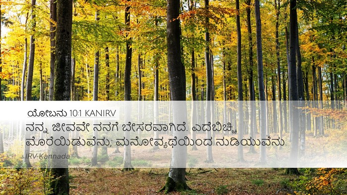 ಯೋಬನು 10:1 KANIRV Bible Verse Image