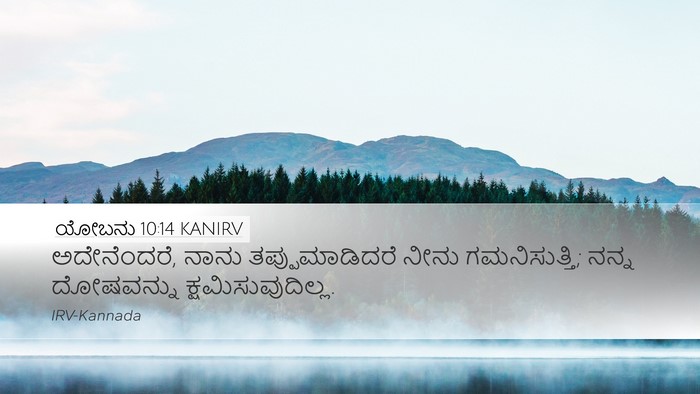 ಯೋಬನು 10:14 KANIRV Bible Verse Image