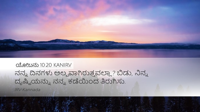 ಯೋಬನು 10:20 KANIRV Bible Verse Image