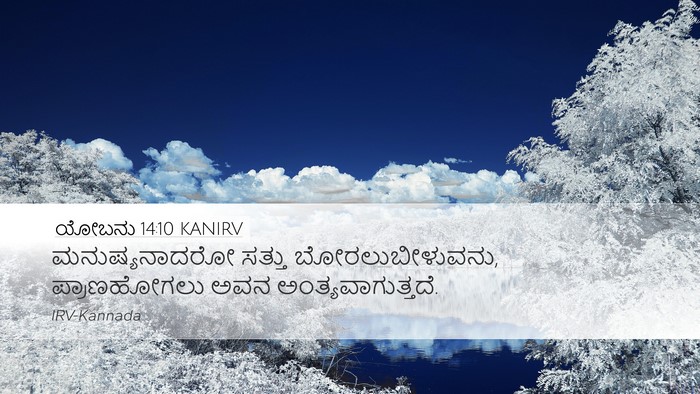 ಯೋಬನು 14:10 KANIRV Bible Verse Image