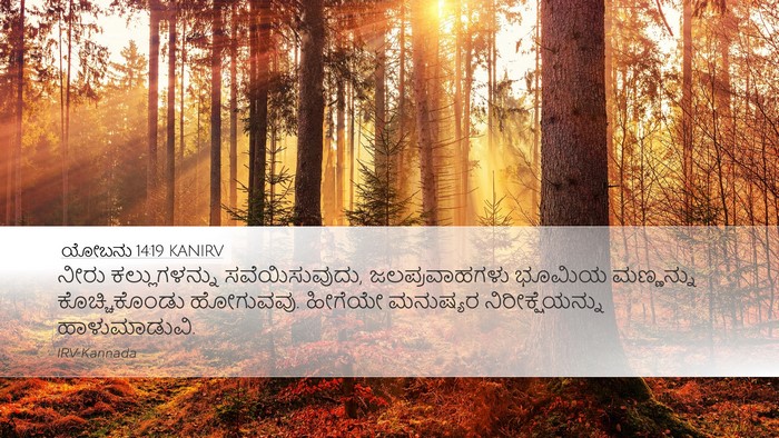 ಯೋಬನು 14:19 KANIRV Bible Verse Image