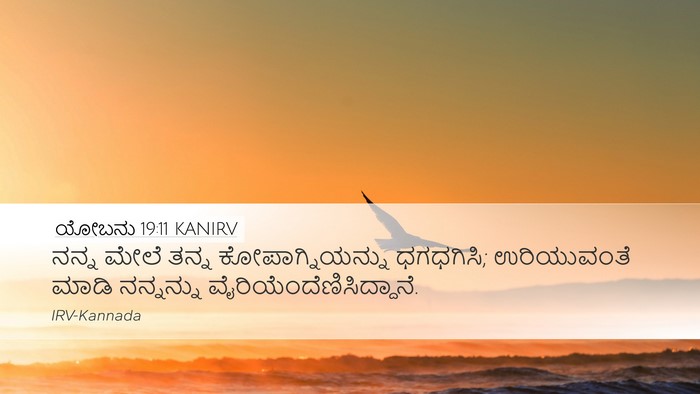 ಯೋಬನು 19:11 KANIRV Bible Verse Image
