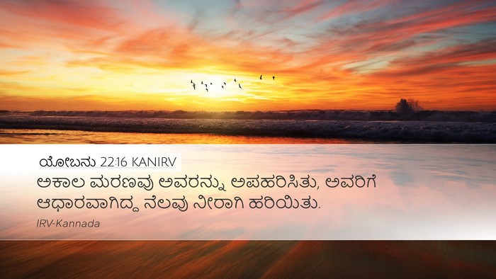 ಯೋಬನು 22:16 KANIRV Bible Verse Image