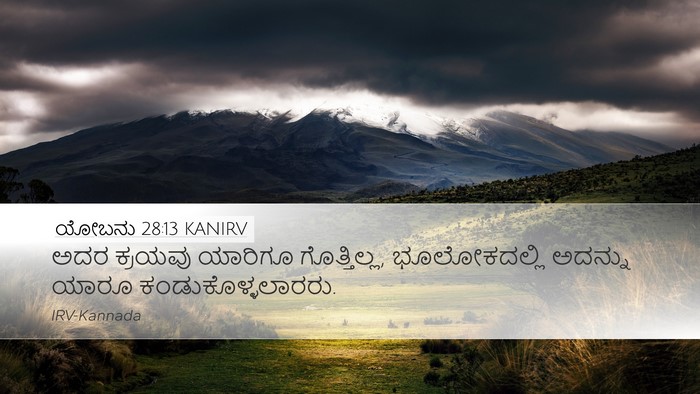 ಯೋಬನು 28:13 KANIRV Bible Verse Image