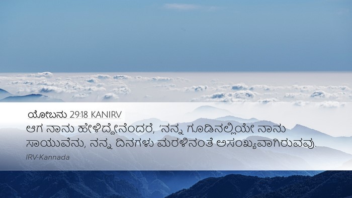 ಯೋಬನು 29:18 KANIRV Bible Verse Image
