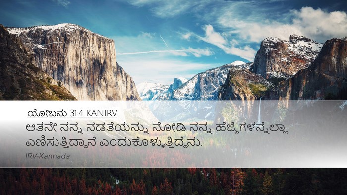 ಯೋಬನು 31:4 KANIRV Bible Verse Image