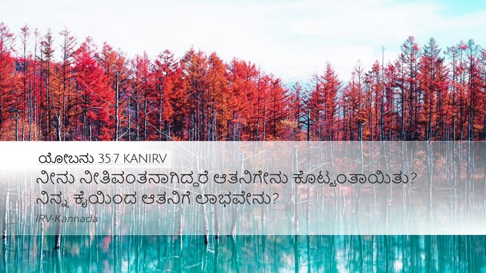 ಯೋಬನು 35:7 KANIRV Desktop Wallpaper - ನೀನು - Desktop Bible Verse Wallpaper