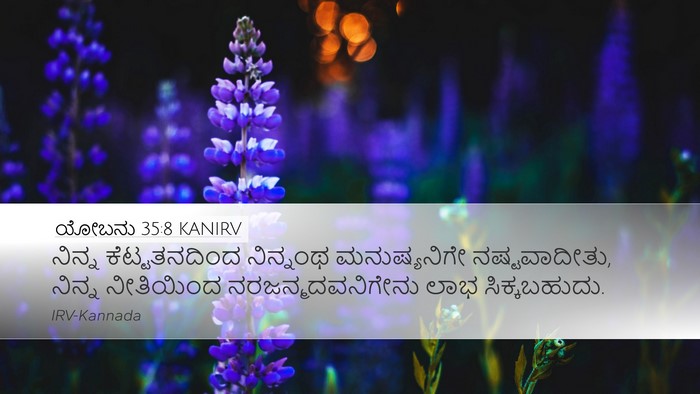 ಯೋಬನು 35:8 KANIRV Desktop Wallpaper - ನಿನ್ನ ಕೆಟ್ಟತನದಿಂದ - Desktop Bible Verse Wallpaper
