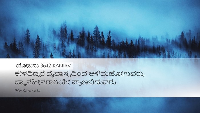 ಯೋಬನು 36:12 KANIRV Bible Verse Image