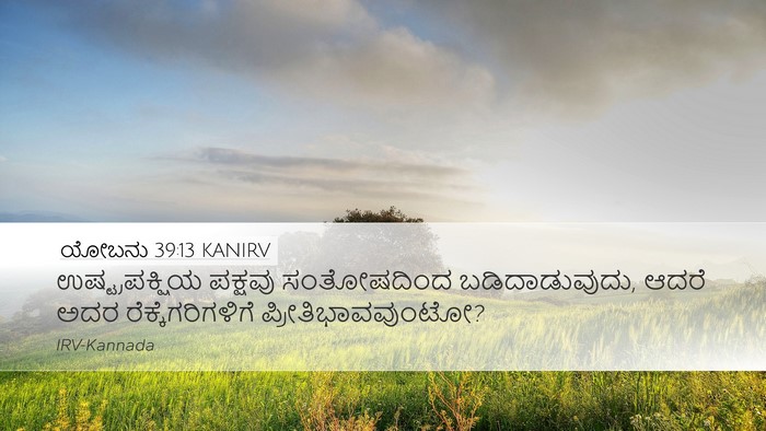 ಯೋಬನು 39:13 KANIRV Bible Verse Image