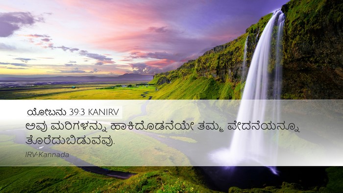 ಯೋಬನು 39:3 KANIRV Desktop Wallpaper - ಅವು ಮರಿಗಳನ್ನು - Desktop Bible Verse Wallpaper