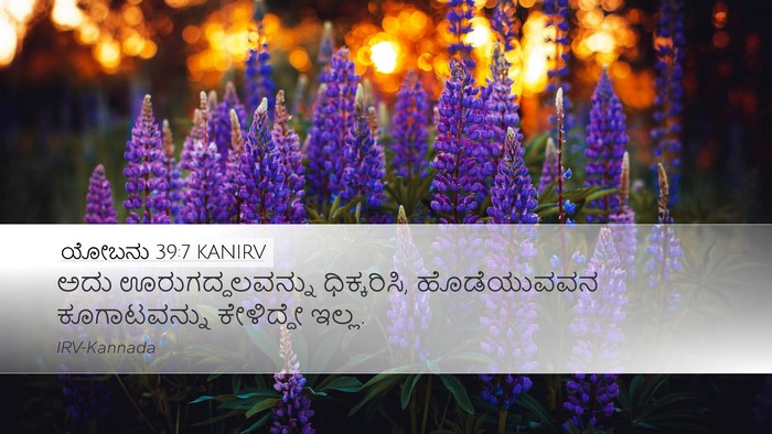 ಯೋಬನು 39:7 KANIRV Bible Verse Image