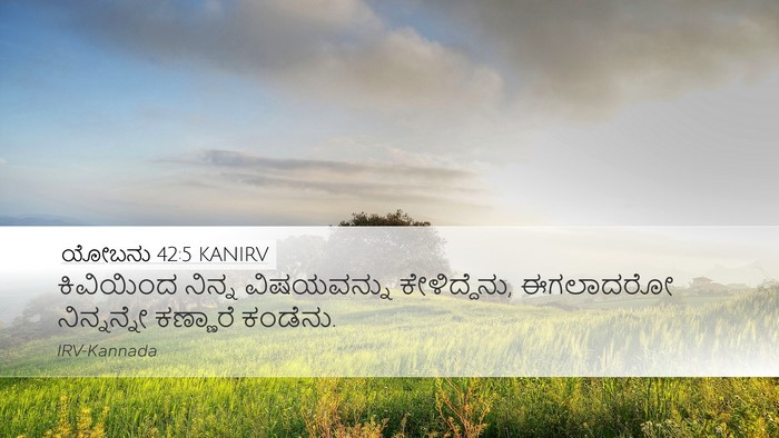 ಯೋಬನು 42:5 KANIRV Bible Verse Image