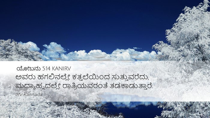 ಯೋಬನು 5:14 KANIRV Bible Verse Image