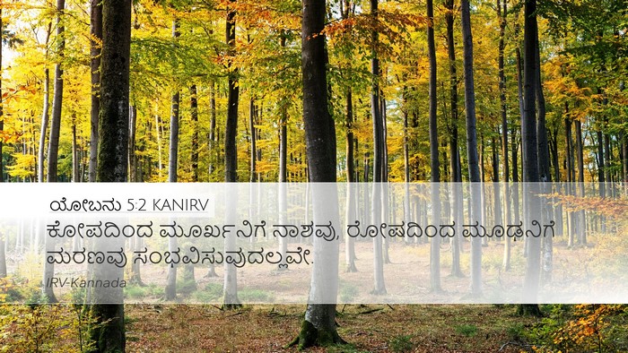 ಯೋಬನು 5:2 KANIRV Bible Verse Image