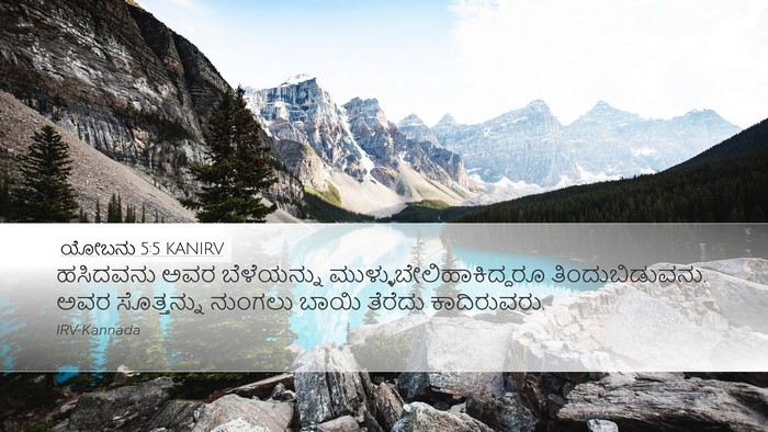 ಯೋಬನು 5:5 KANIRV Bible Verse Image