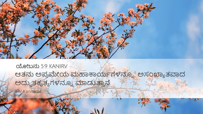 ಯೋಬನು 5:9 KANIRV Bible Verse Image