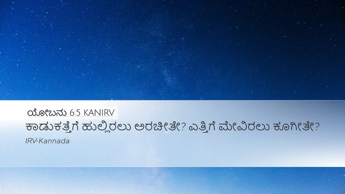 ಯೋಬನು 6:5 KANIRV Bible Verse Image