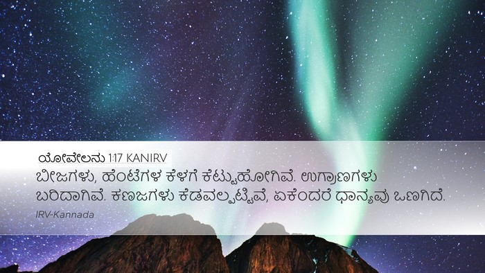 ಯೋವೇಲನು 1:17 KANIRV Bible Verse Image