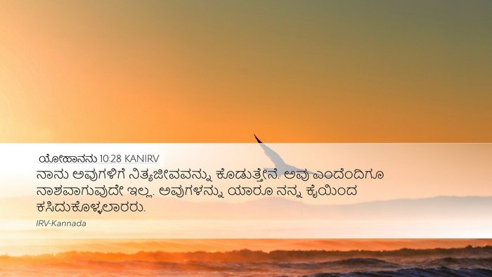 ಯೋಹಾನನು 10:28 KANIRV Bible Verse Image