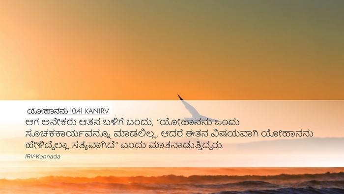 ಯೋಹಾನನು 10:41 KANIRV Bible Verse Image