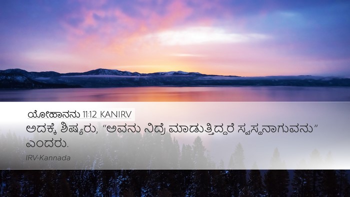 ಯೋಹಾನನು 11:12 KANIRV Desktop Wallpaper - ಅದಕ್ಕೆ ಶಿಷ್ಯರು, - Desktop Bible Verse Wallpaper
