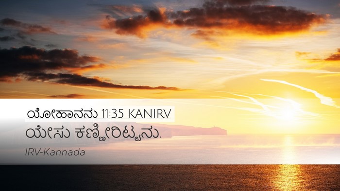 ಯೋಹಾನನು 11:35 KANIRV Bible Verse Image